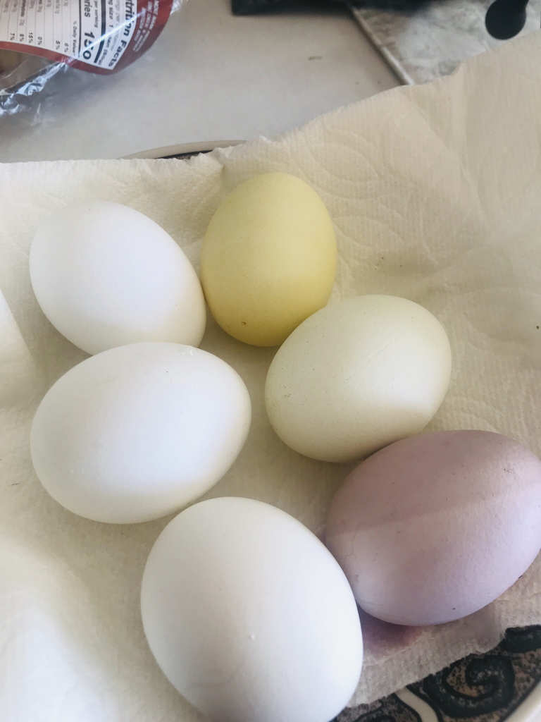 Dyed Easter eggs